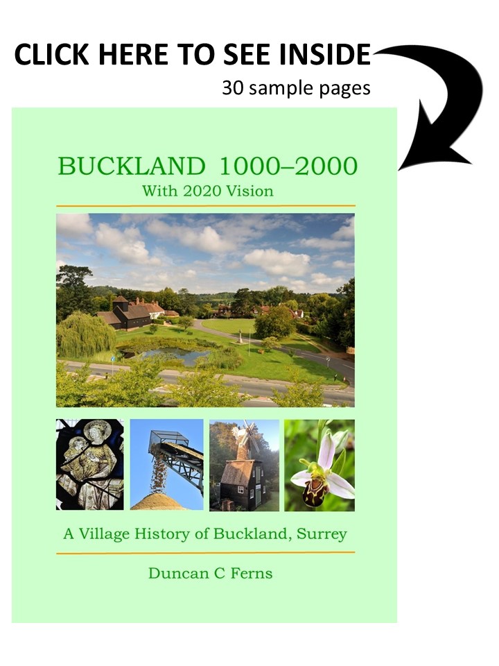 Promotional link to Village History 